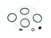 AUTOFREN SEINSA D4019 Repair Kit, brake caliper